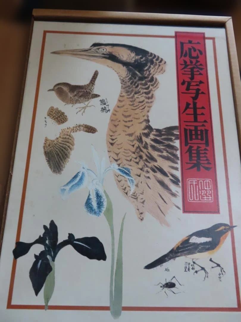 古書　応挙写生画集　初版