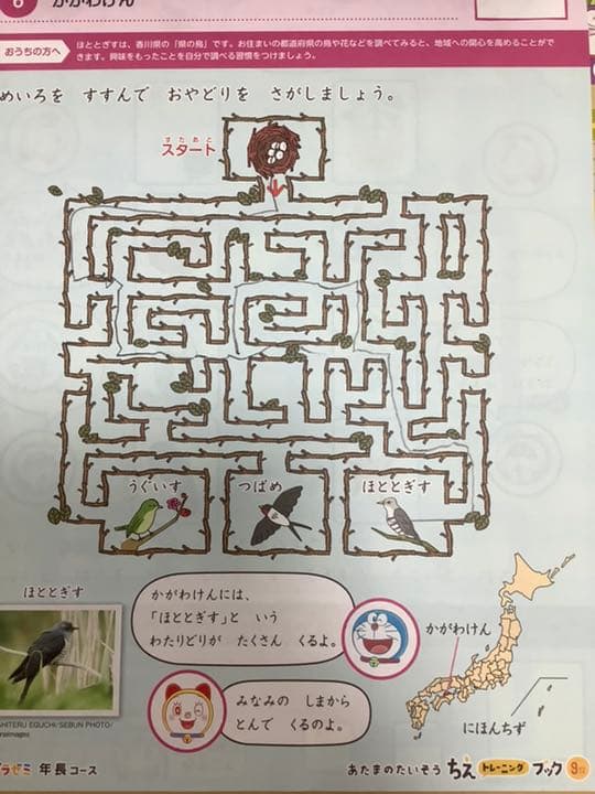 新品未使用と書き込みなし✴︎ぷちドラゼミ年長コース