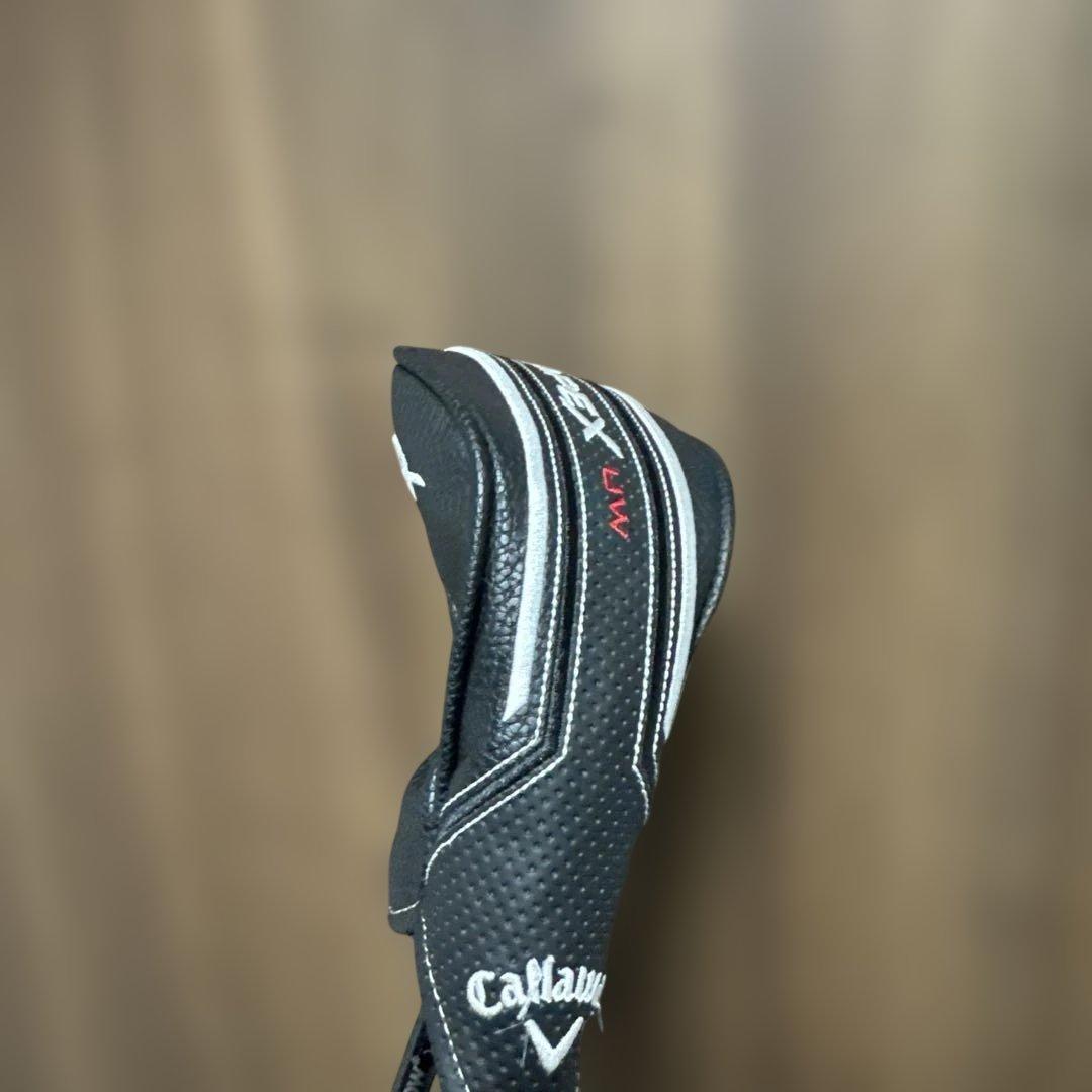 APEX UW 19° HZRDUS 備品