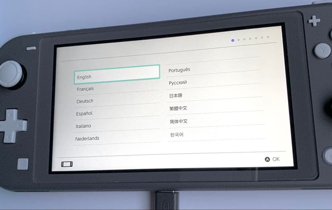 Nintendo Switch Lite 本体 グレー(充電器・ケース付き)