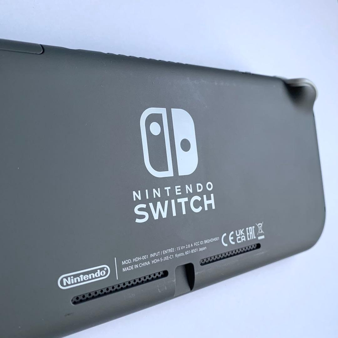 Nintendo Switch Lite 本体 グレー(充電器・ケース付き)