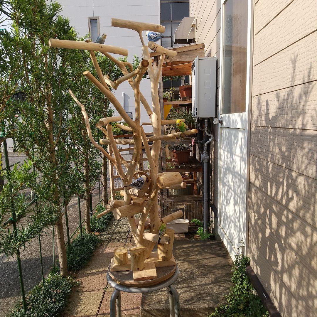 小鳥の楽園バードアスレチックツリージム②