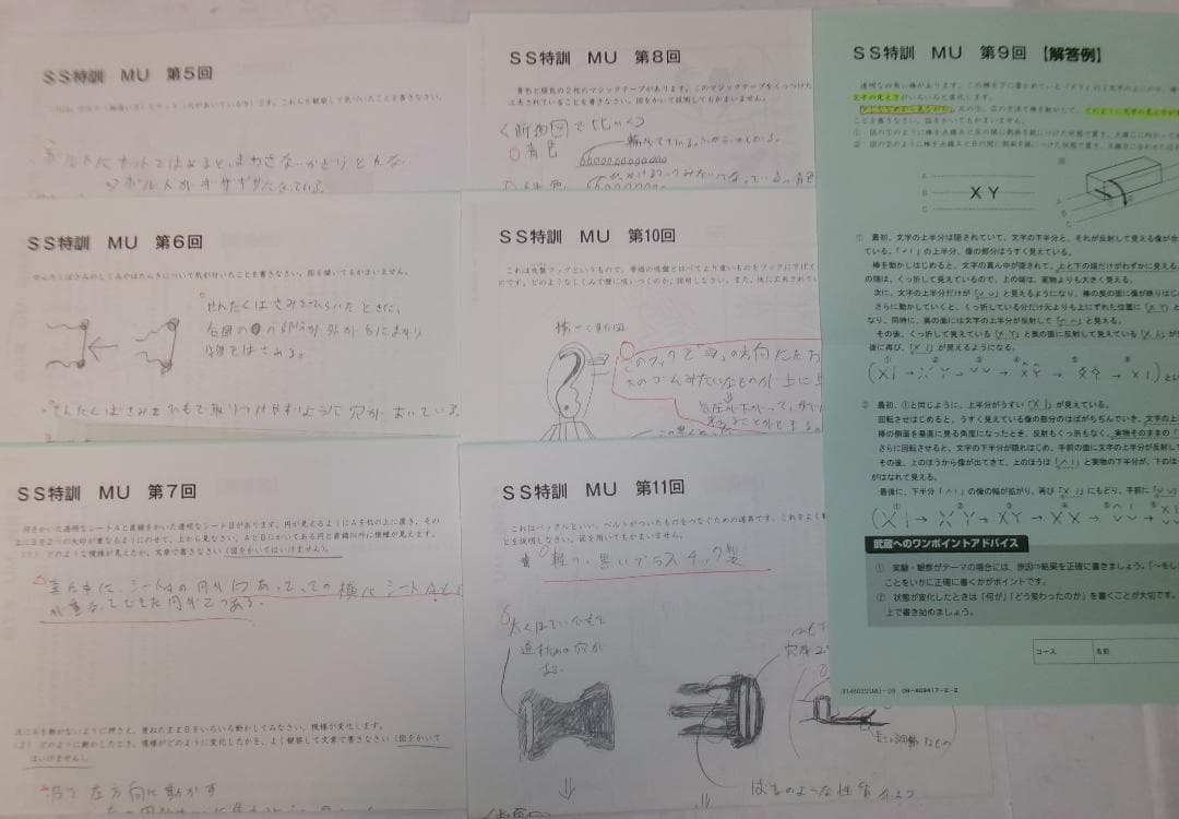 サピックス＊難関校ＳＳ特訓＊6年 理科／武蔵 対策プリント ６回＊記述問題対策