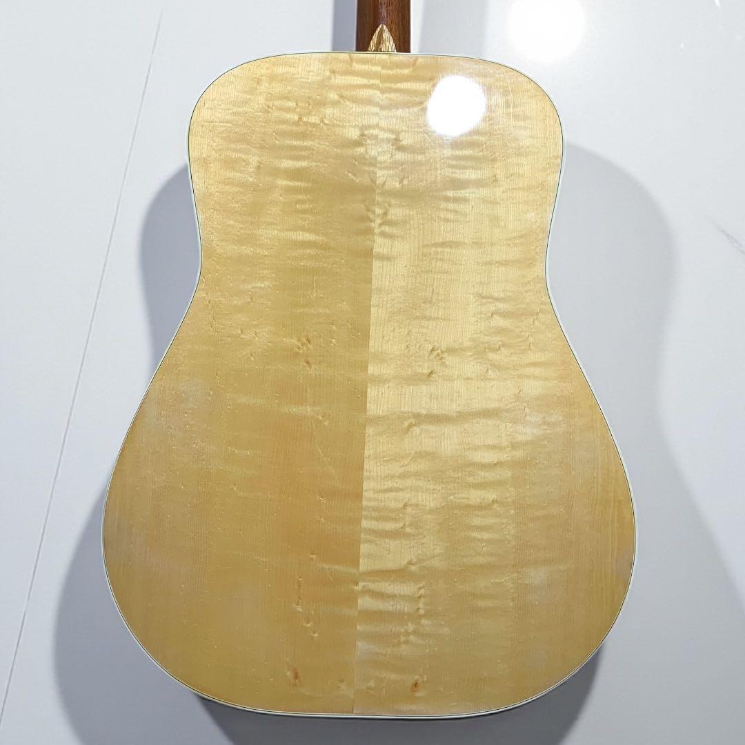 SPLENDOR スプレンダー 国産ドレッド 美品 杢メイプル