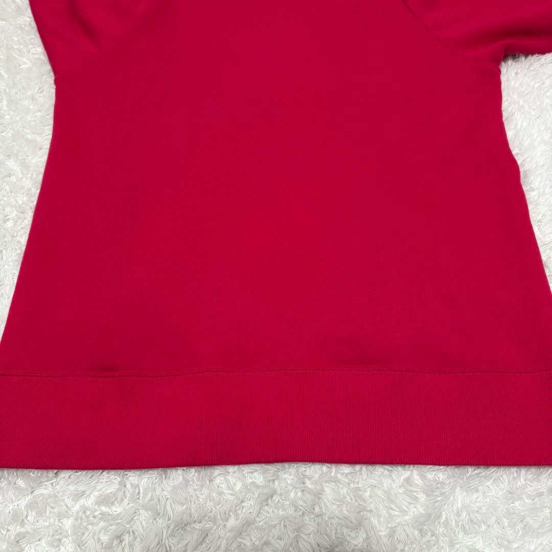 ノースフェイス　リアビューフルジップフーディー　NTW12442 L ピンク