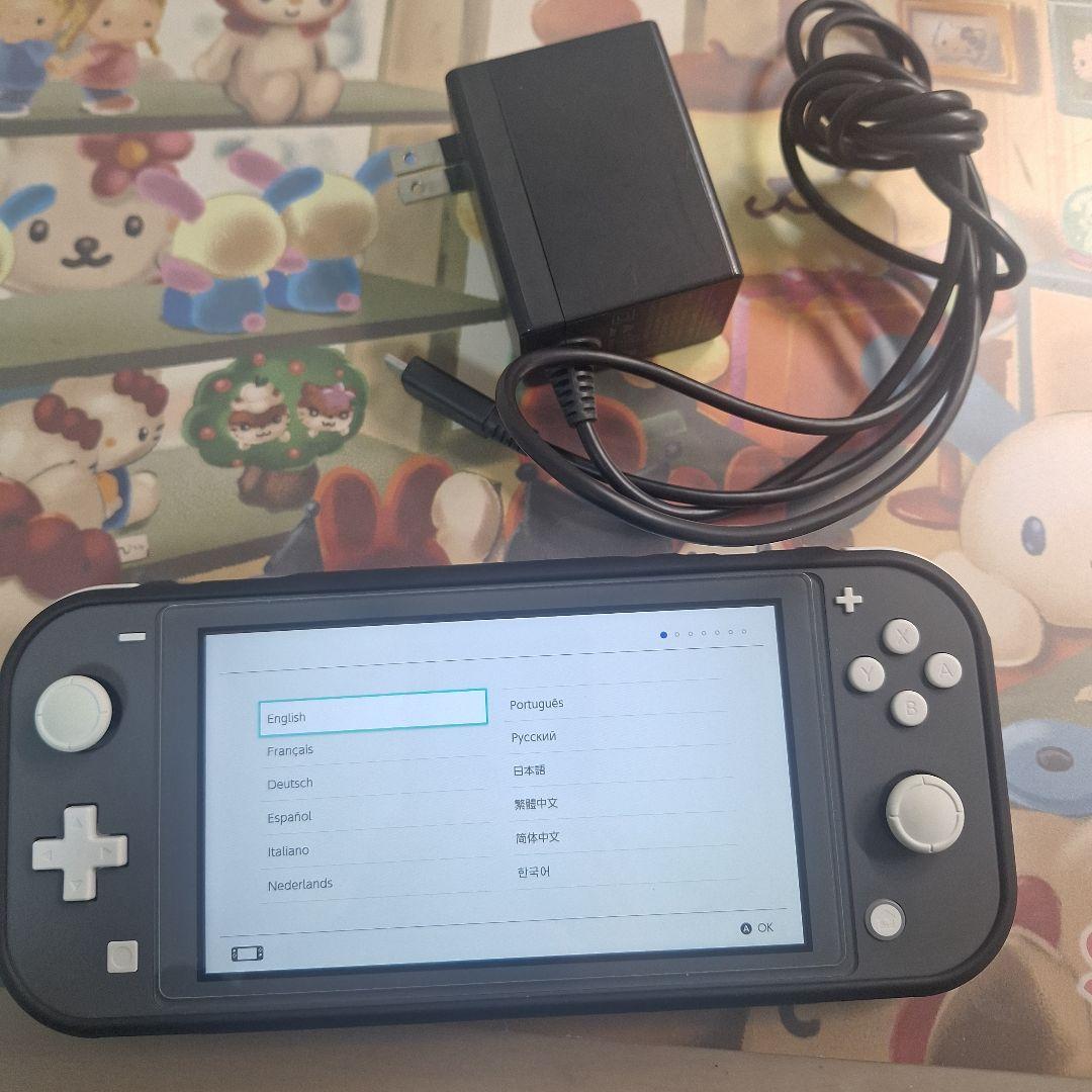 Nintendo Switch Lite グレー 本体 充電器とカバー付き