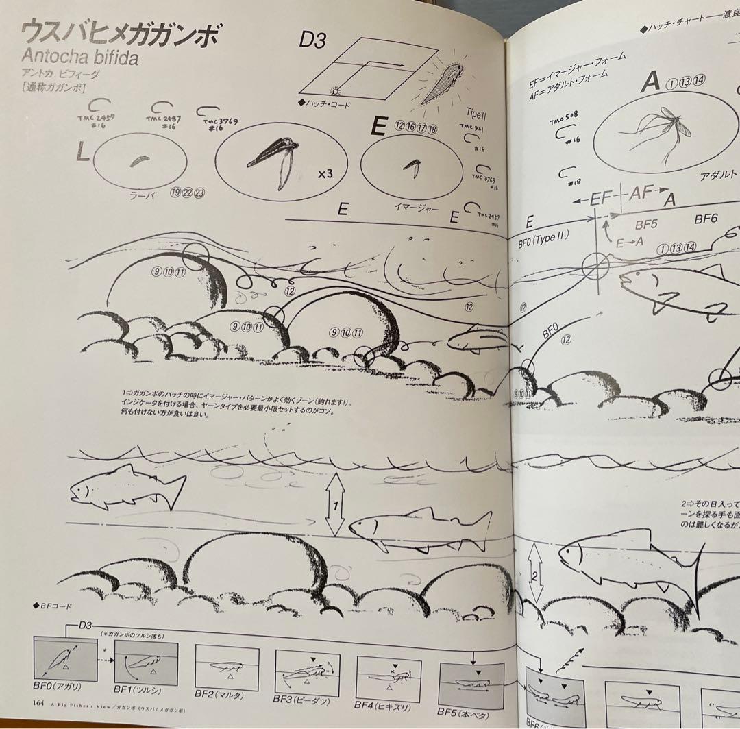 水生昆虫アルバム 第1版/島崎憲司郎 釣り フライフィッシング