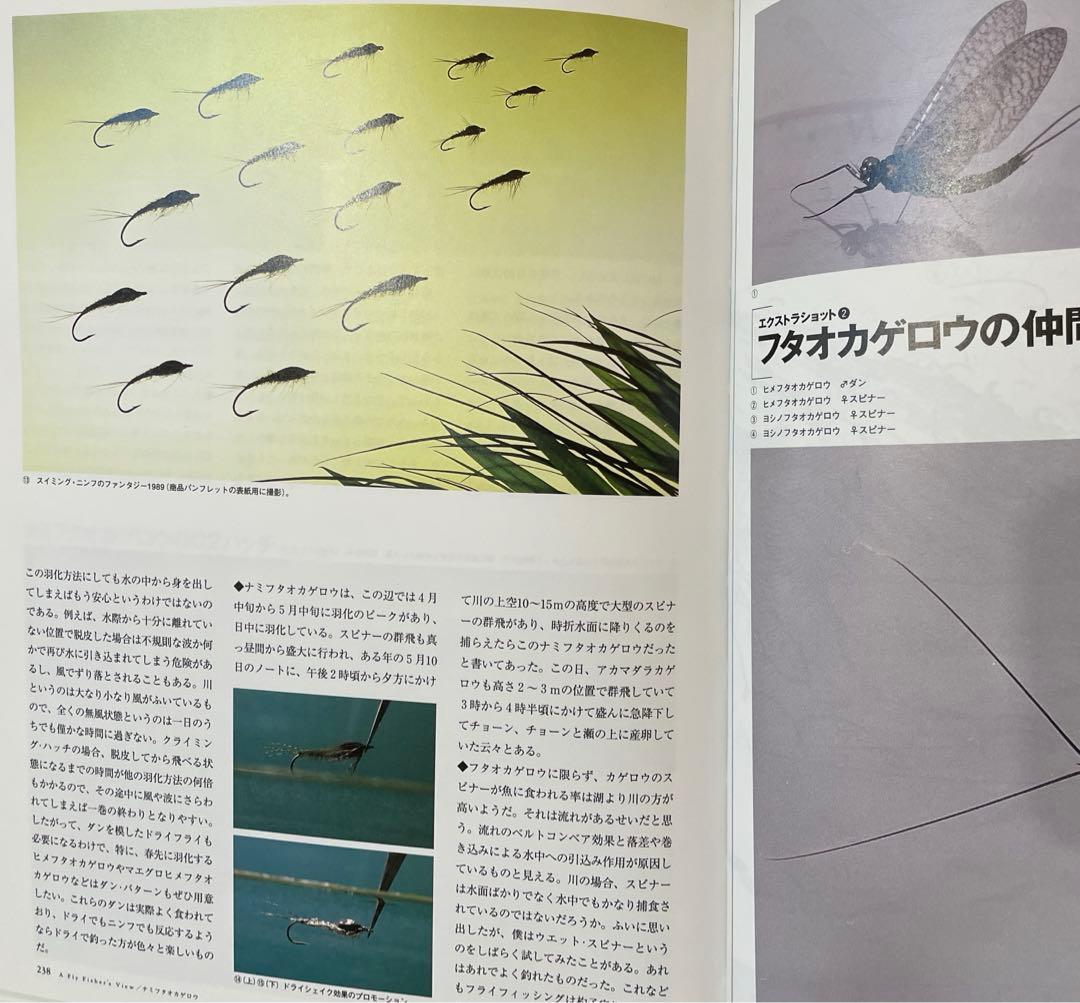 水生昆虫アルバム 第1版/島崎憲司郎 釣り フライフィッシング