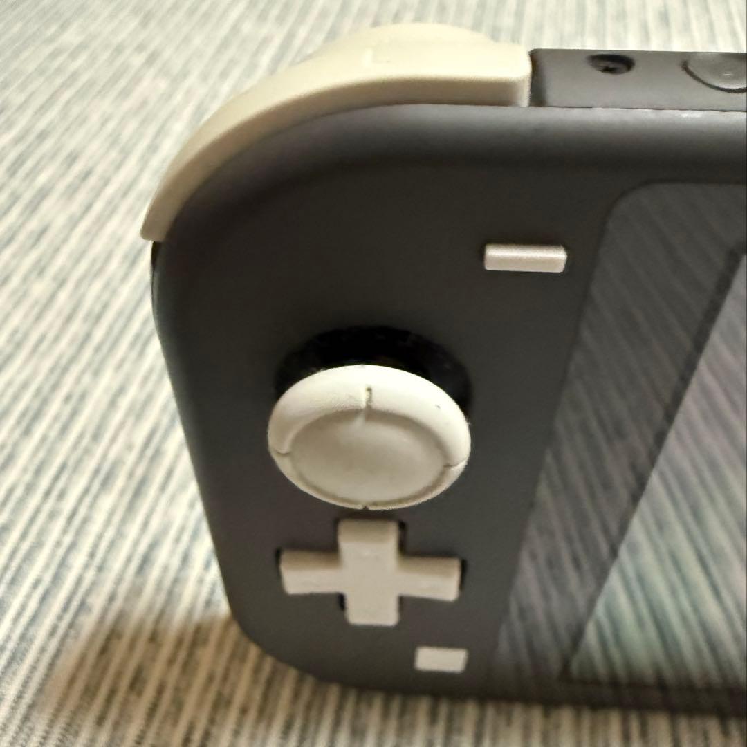 Nintendo Switch ライト グレー 充電器付