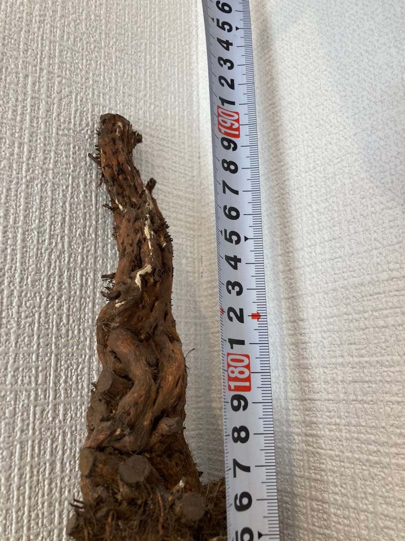 アカザ杖　木製 杖 高さ1900mm 直径31.95mm