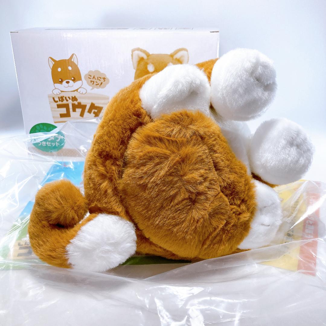 しばいぬコウタ バンダナつきセット こんにちワン！しばいぬ コウタ　|4007|