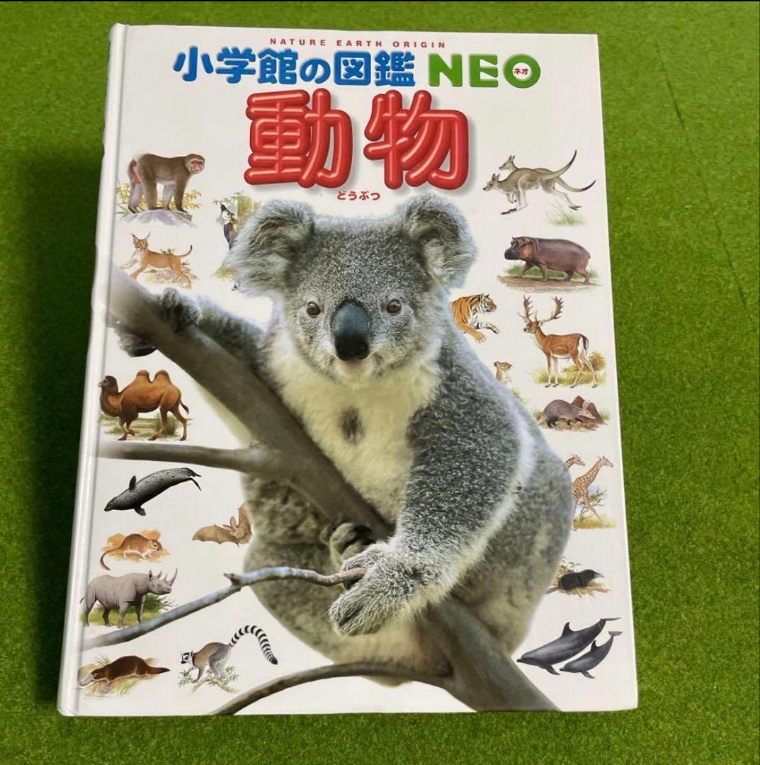 小学館の図鑑NEO 5冊セット　DVD有り