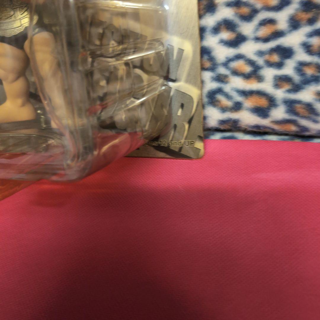 HAD COLLECTION ヴァンダレイ・シウバ フィギュア 2体セット