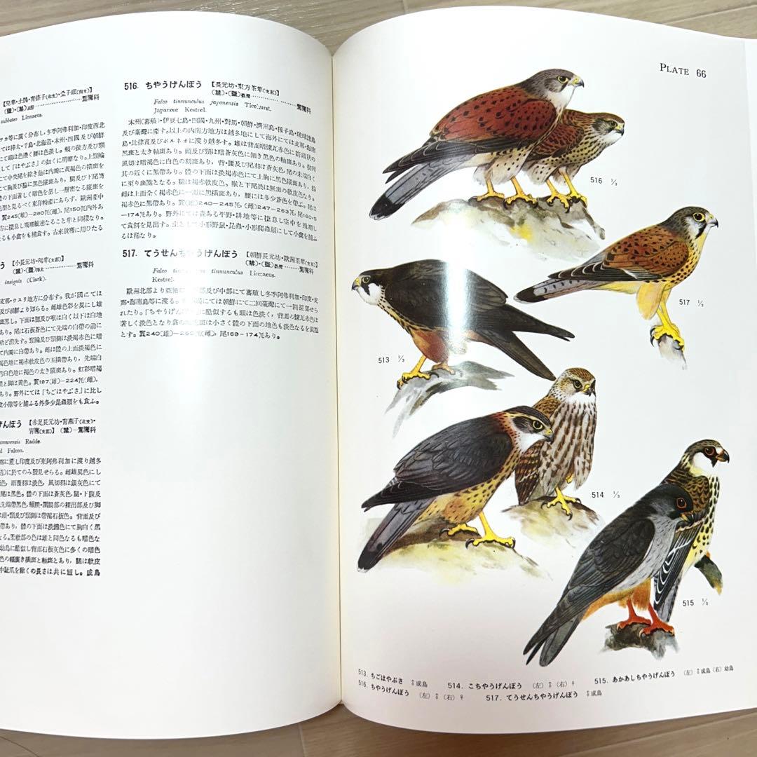 【最終値下げ】鳥類原色大図説 全3巻 セット 鳥 図鑑 動物