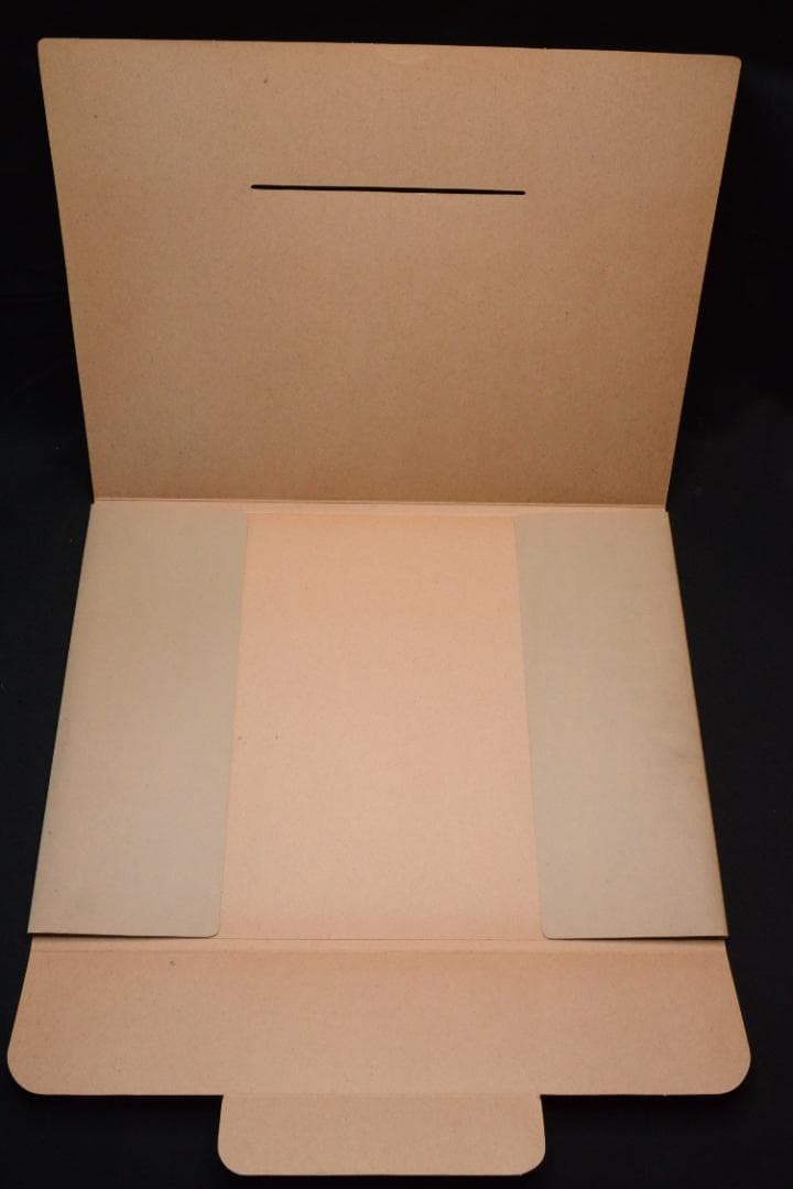 【HASKINS POSTERS】 Sam Haskins★大幅に値下げしました