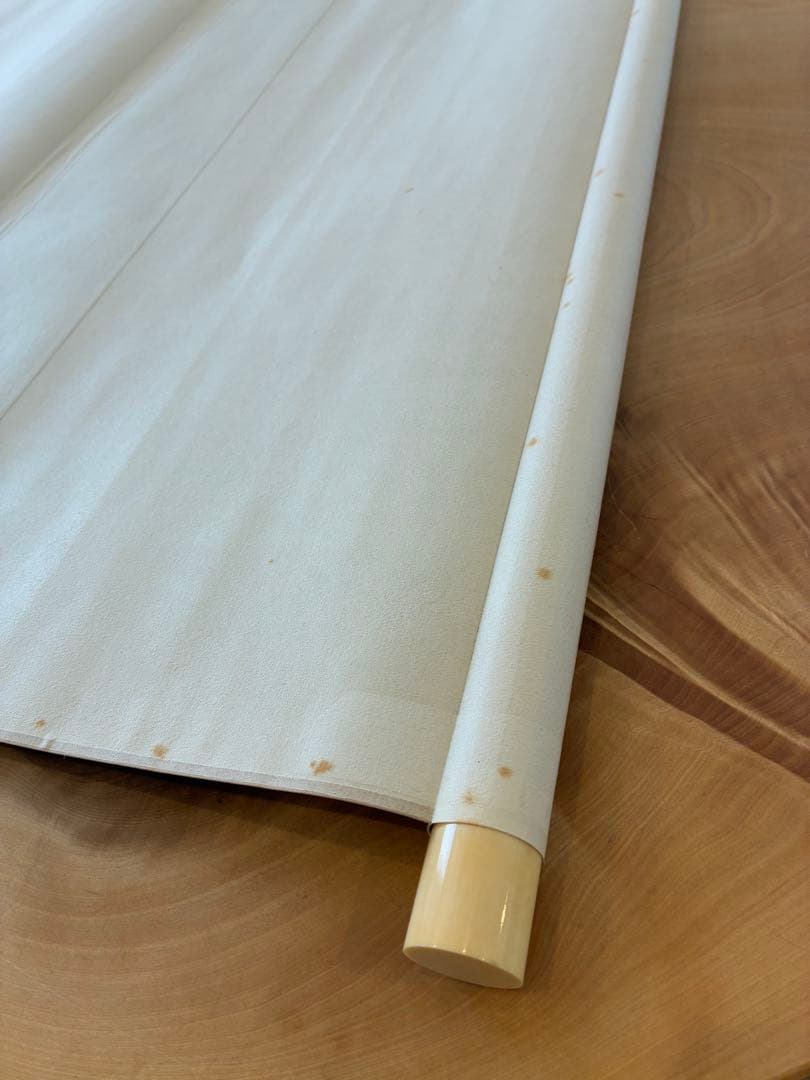 掛け軸 掛軸 菅楯彦 春郊 共箱 2重箱