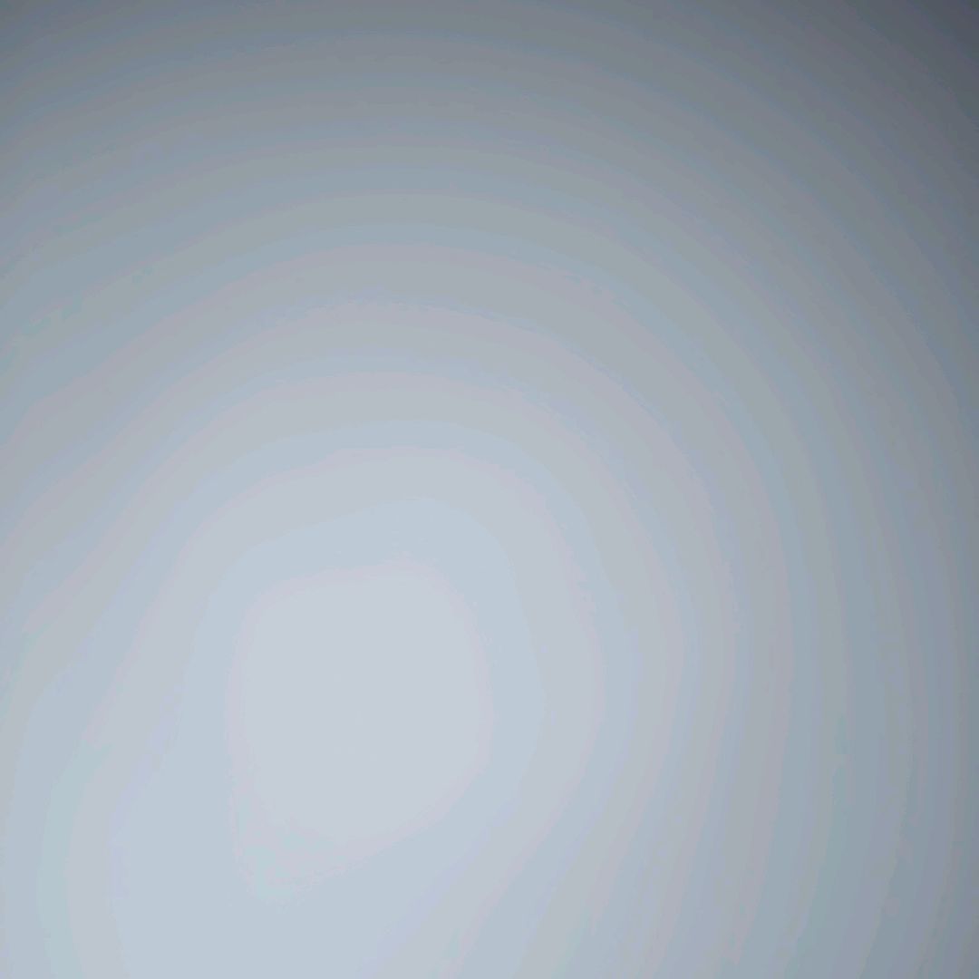 長襦袢・正絹 ❄️☆ 『 2549 』 ( 165 ㎝前後の方)