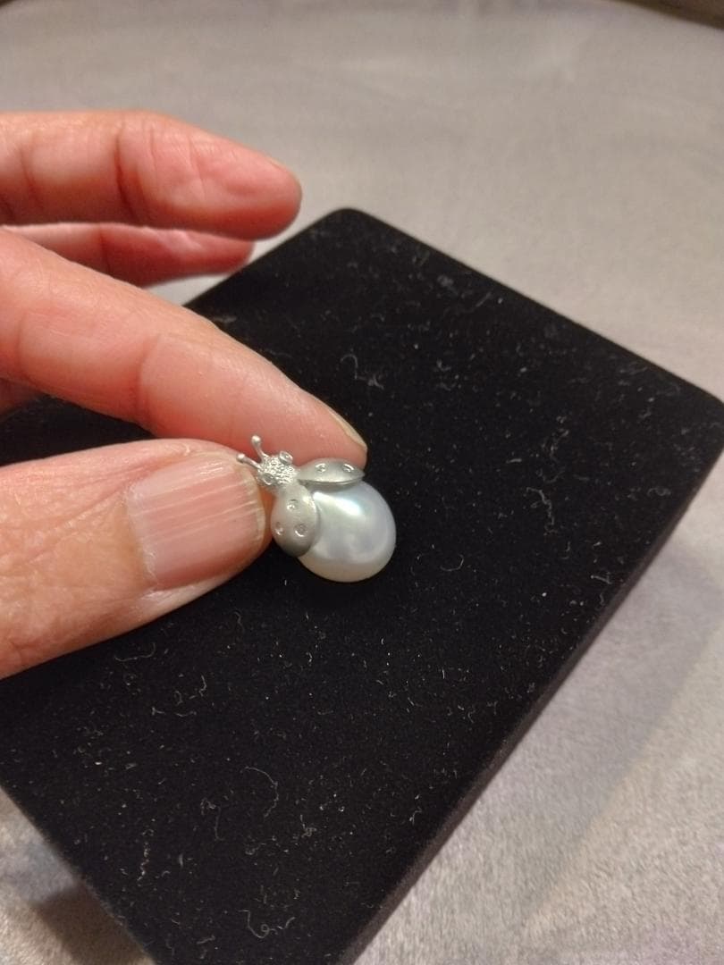 Bijou de M mio harutaka テントウムシ