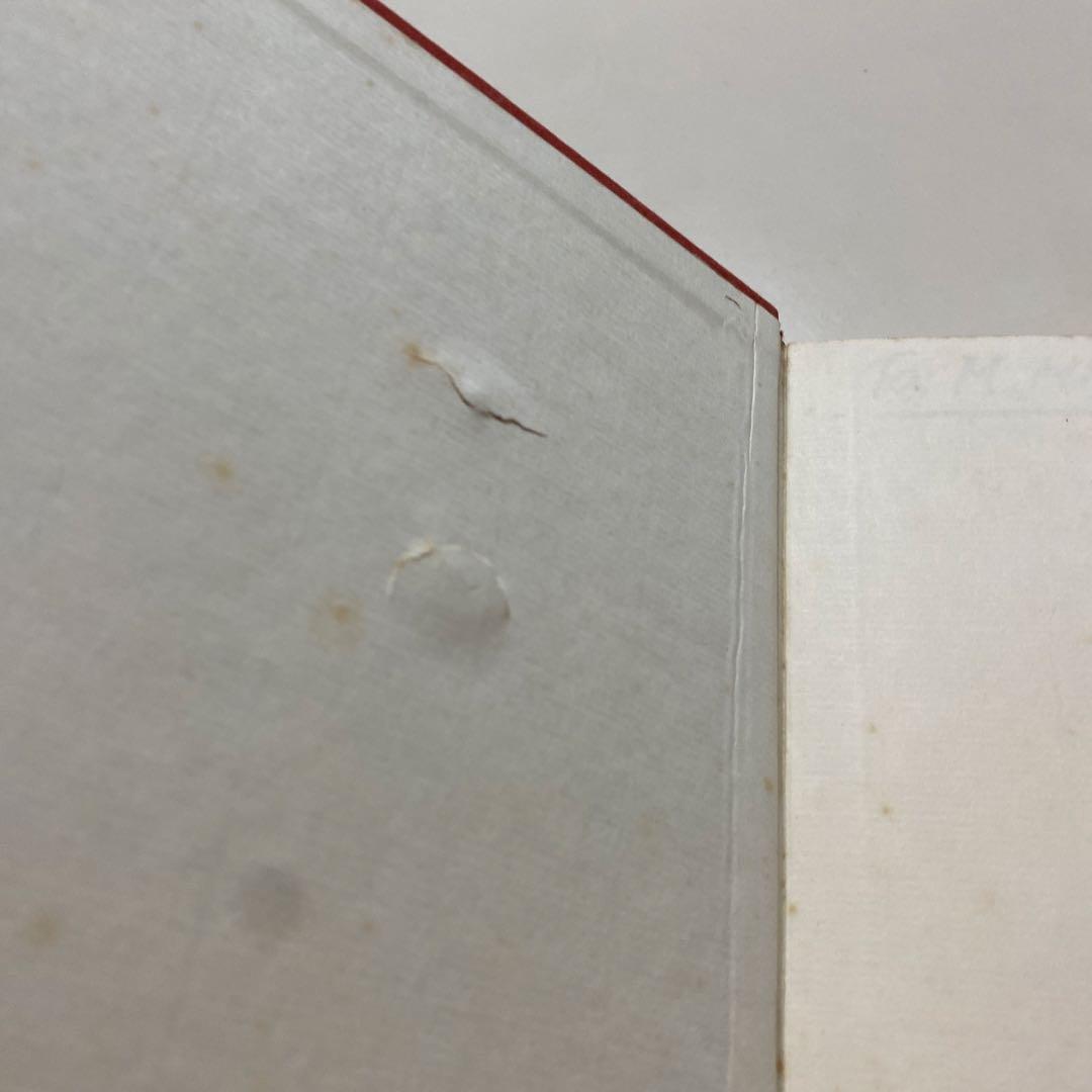 美術書 ダヴィンチLeonardo & Venezia Bompiani