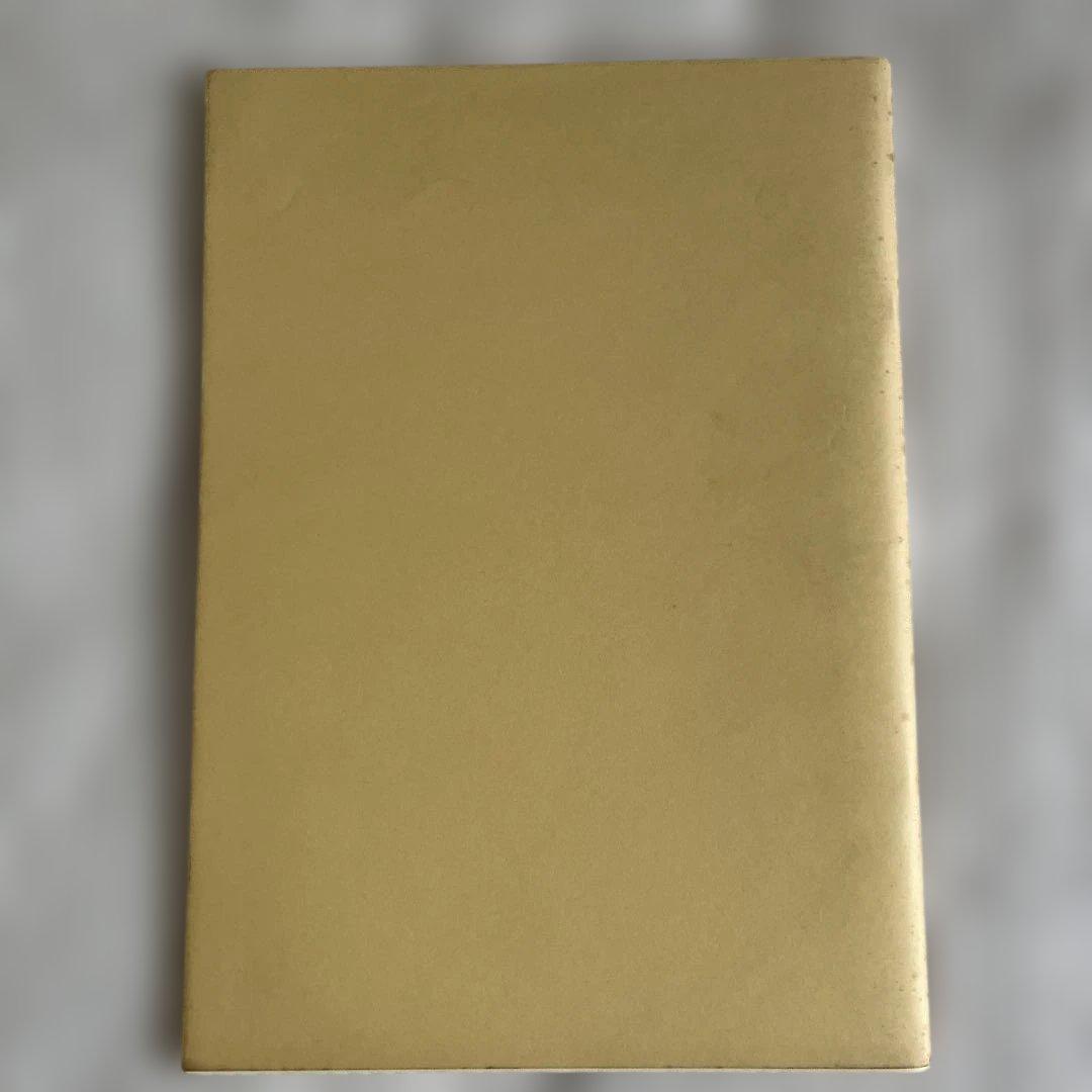 RONNIE WOOD PRINTS ストーンズのロニーウッズ作品集