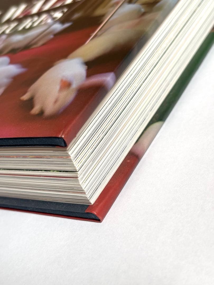 ティム・ウォーカー／ピクチャーズ 写真集　TIM WALKER PICTURES