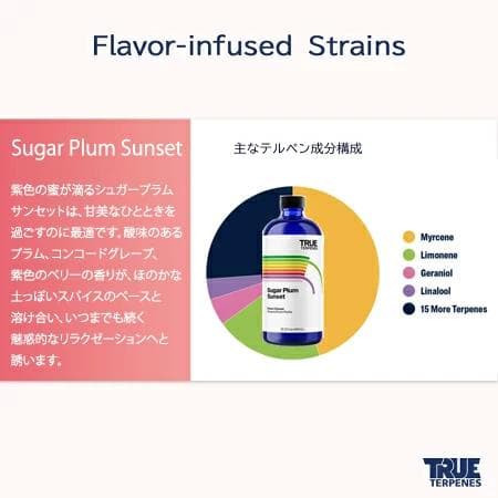 TRUE テルペン CBD CBN CBG 10ml シュガープラムサンセット