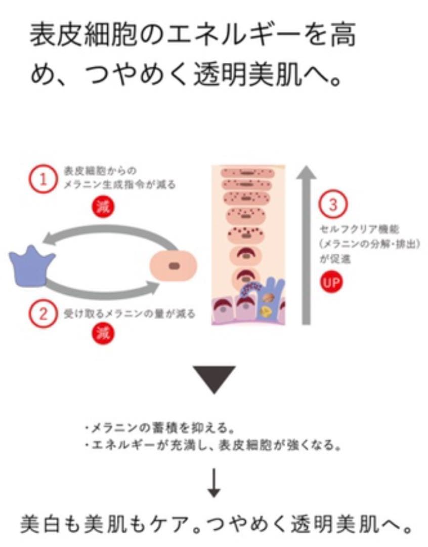 ホワイトショット LX&MX
