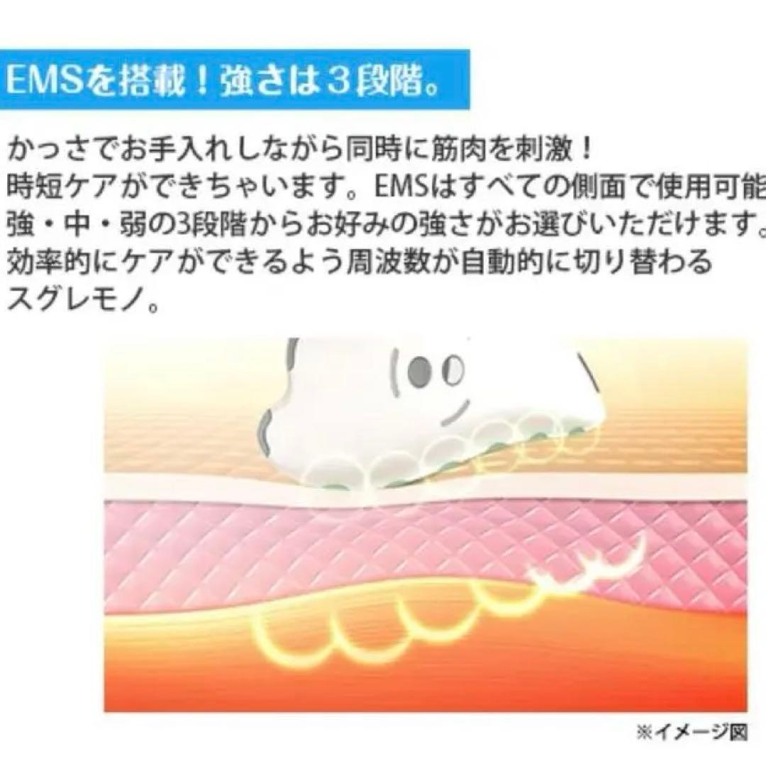 ♡ EMS カッサ