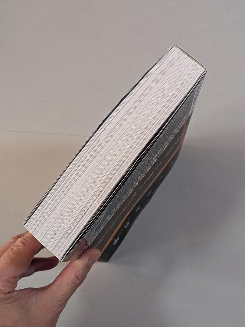 「※希少　貴重」　アンプ大名鑑　Fender編　トム・ウィーラー著