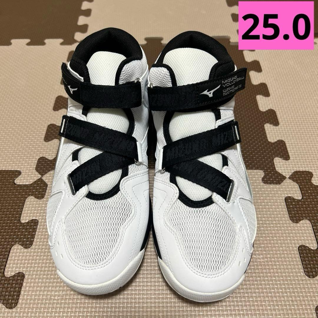 バレーボールシューズ　25cm