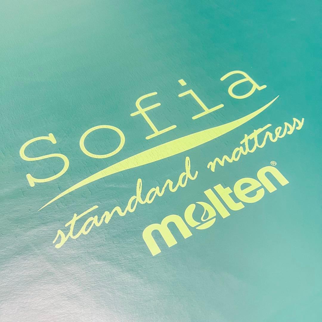 molten ソフィア 910×1800×100mm