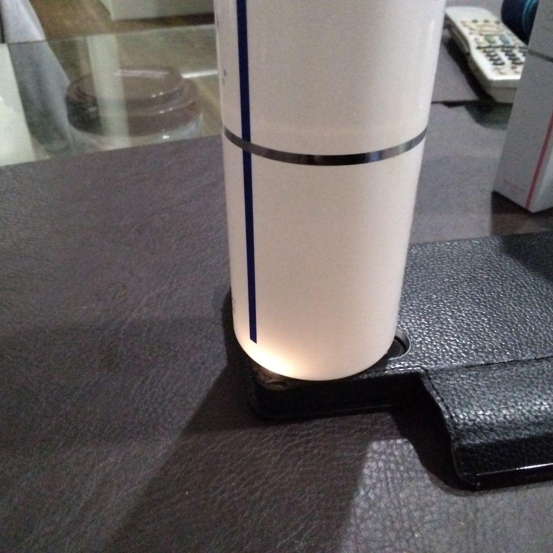 ガウディスキン