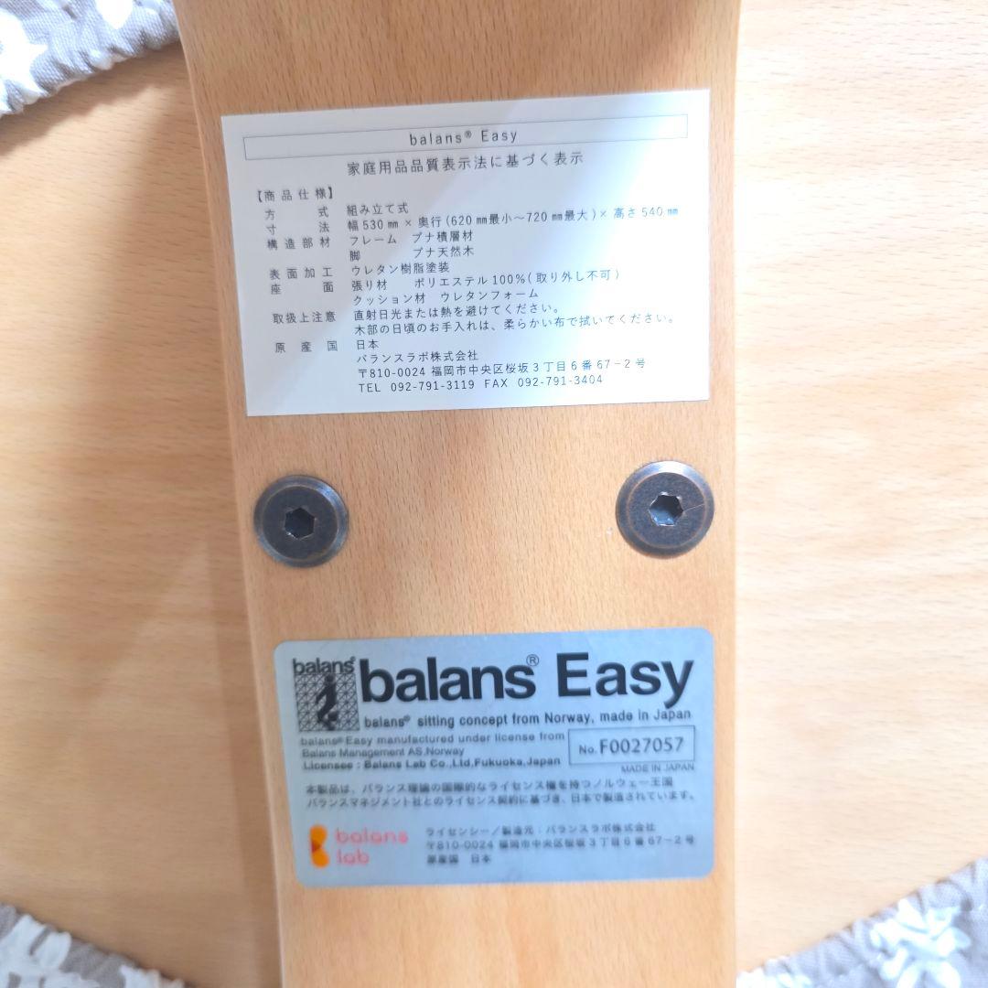 446】Rybo リボ社 Balans Easy バランスイージー カバー付