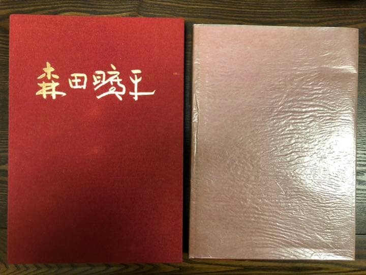 森田曠平　原色　図版　限定版