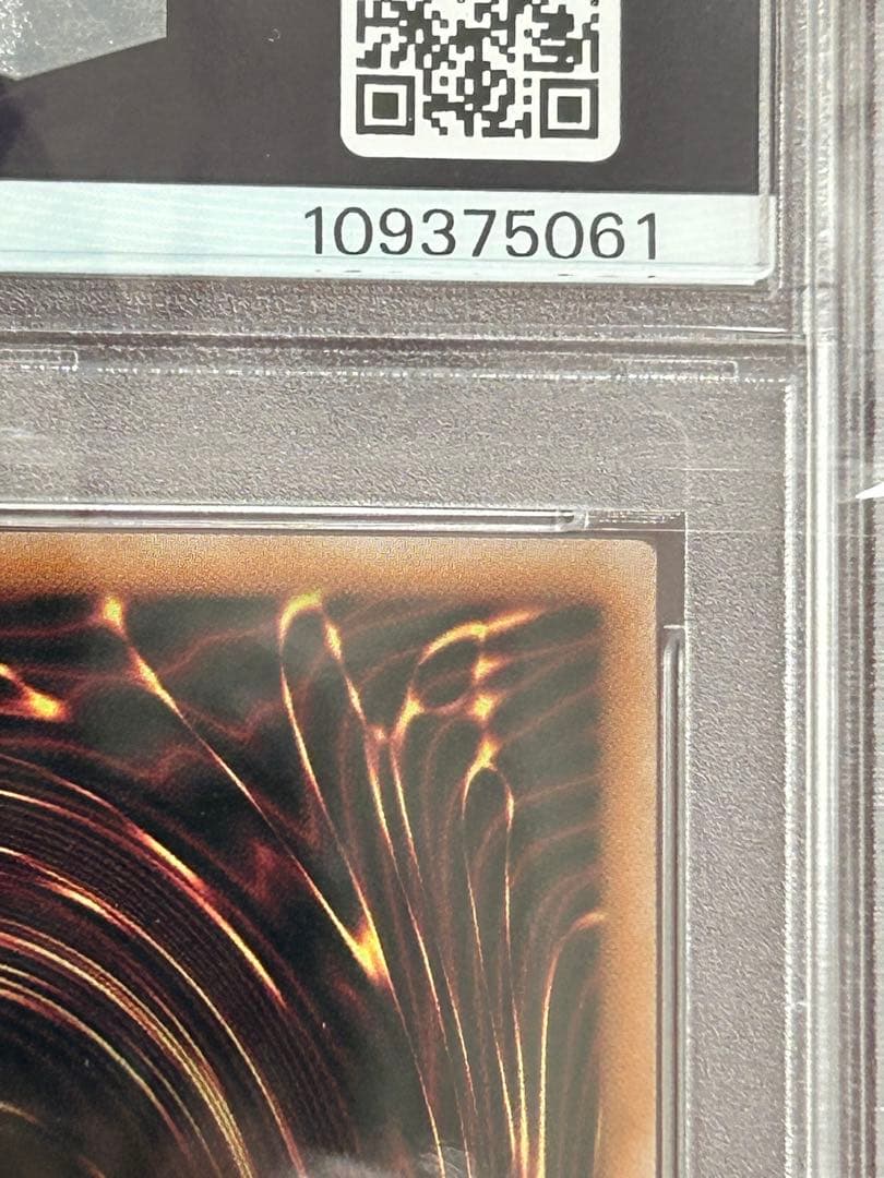 PSA10 連番 ブラックマジシャン 青眼の白龍 25th クオシク 絵違い