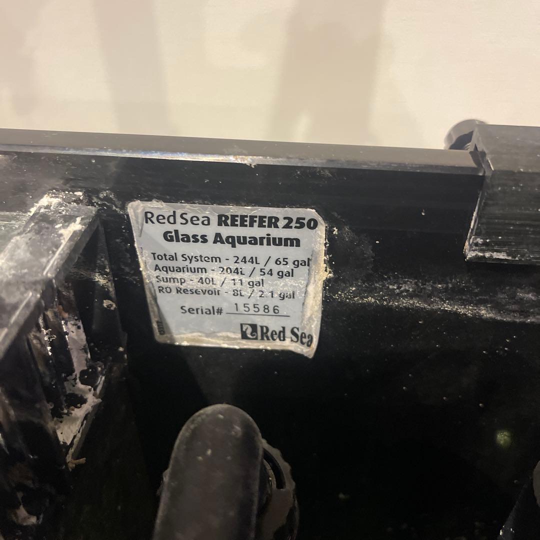 Red Sea REEFER 250 オーバーフロー水槽