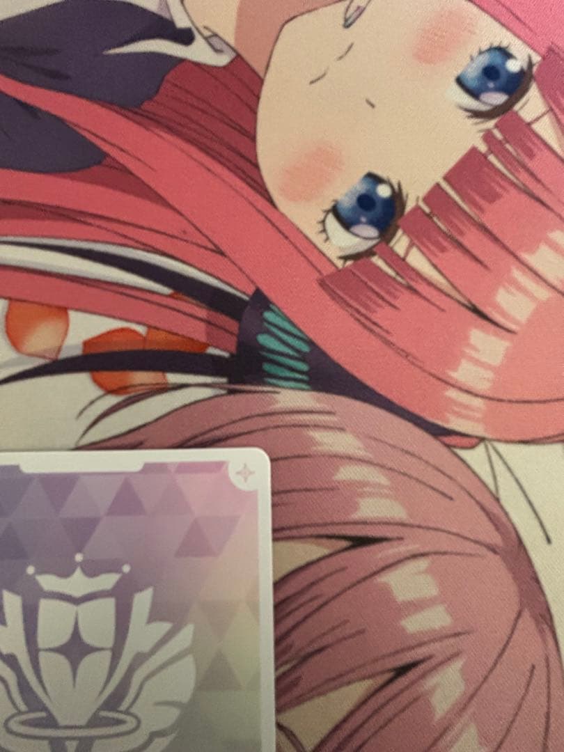 ホロカ　尾丸ポルカ　SEC