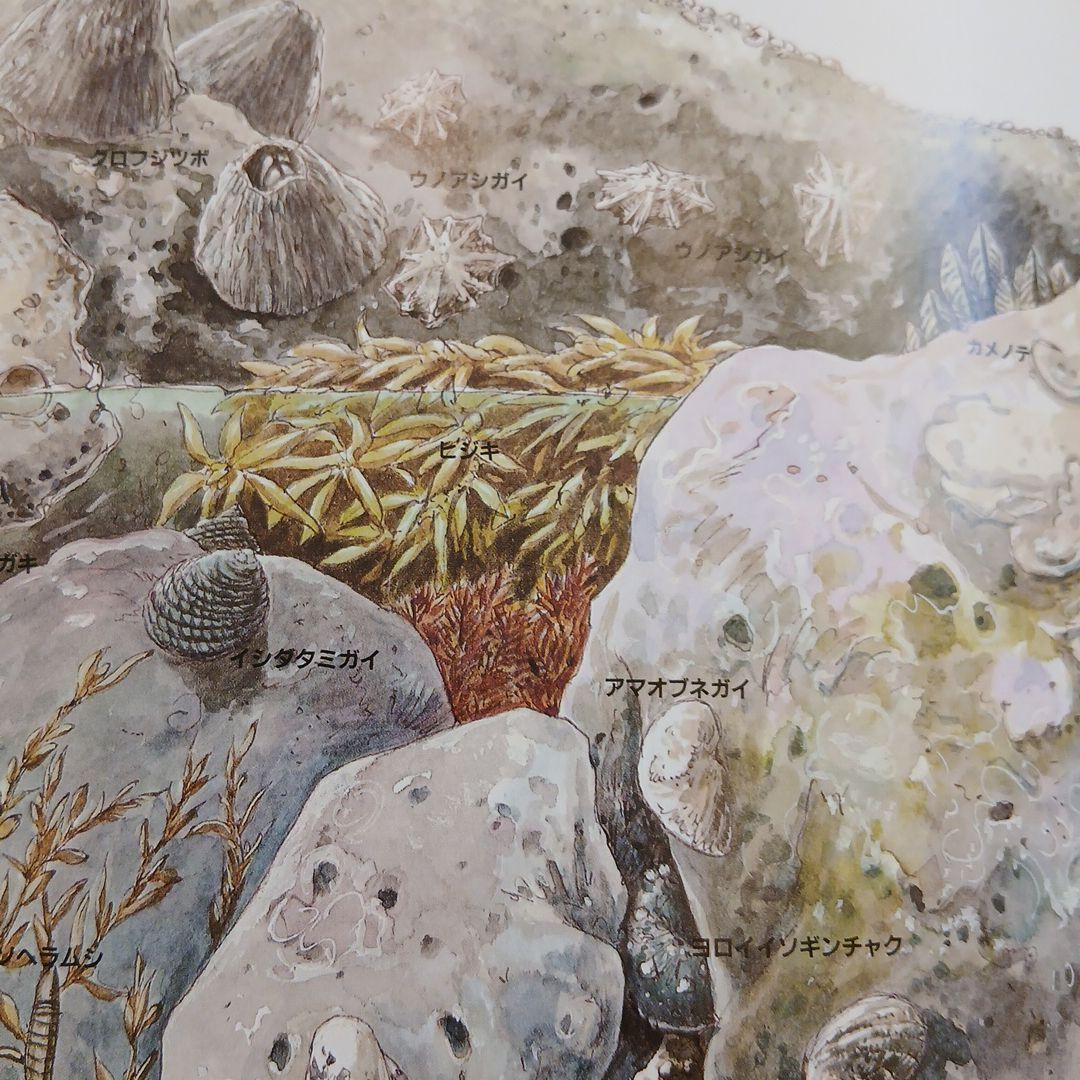 ⭐美品⭐小2～くもん推薦図書など　絵本児童書まとめ売り30冊