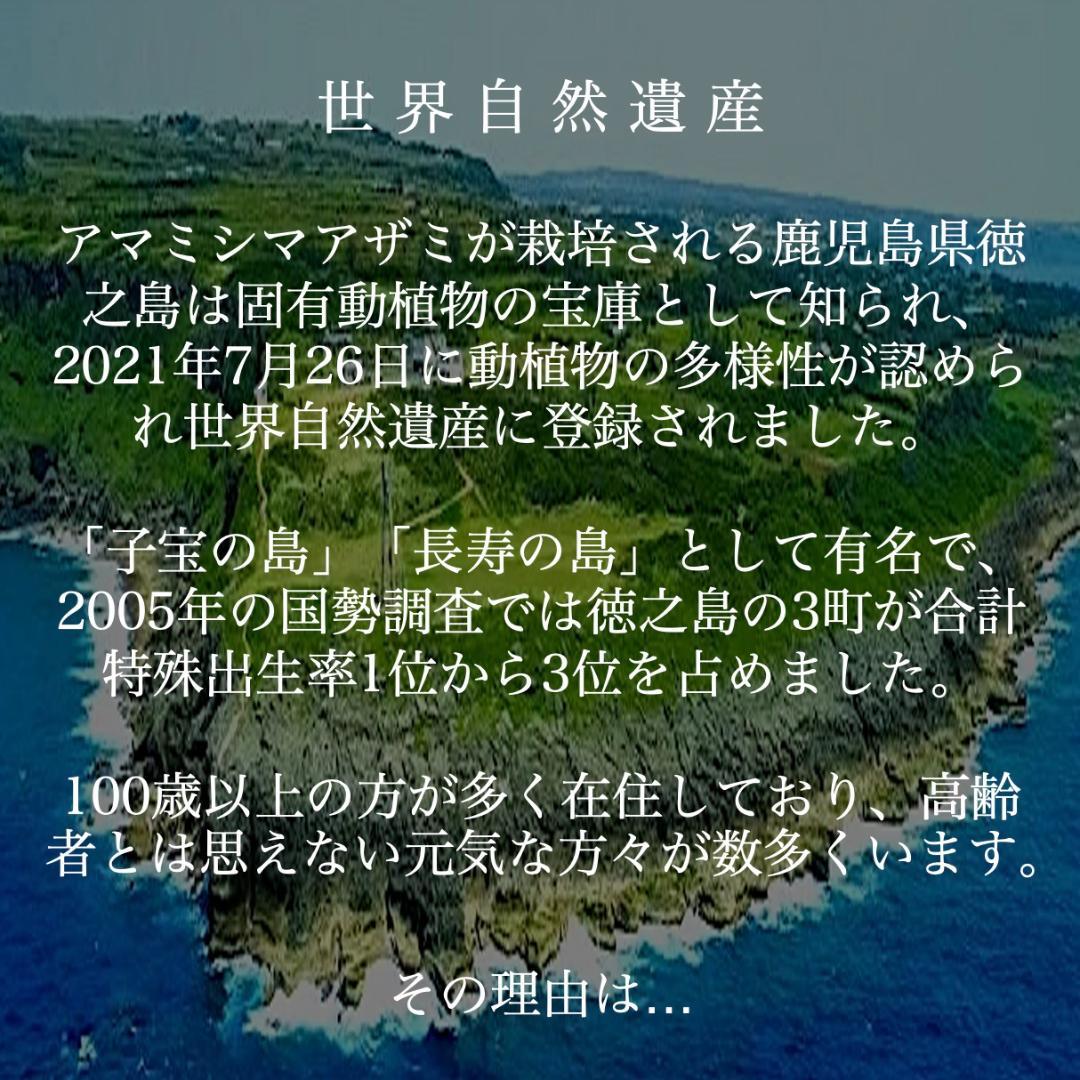 【自然の若返り】生エクソソームで肌を蘇らせ、毎日を輝かせましょう！