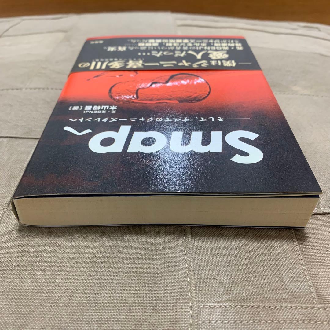 【希少！】【帯あり】Smapへ そして、すべてのジャニーズタレントへ/木山将吾①