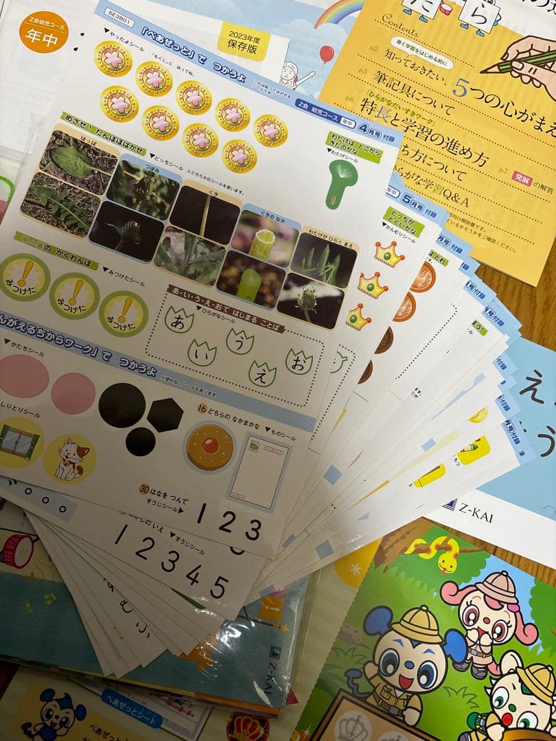 Z会　年中　かんがえるちからワーク 1年分　フルセット