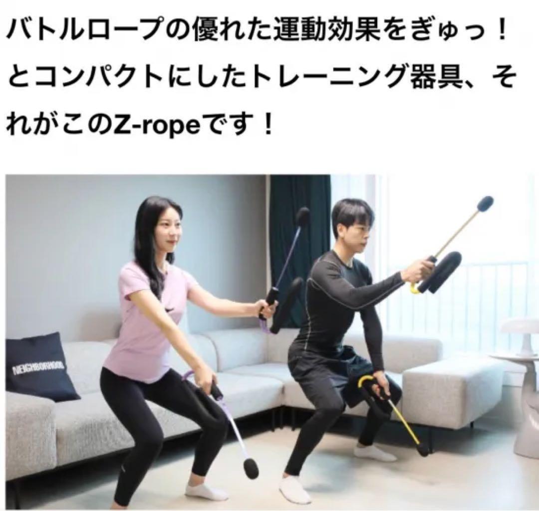 新品】ロープのいらないバトルロープ　Z-Rope！パープル　持って上下に振るだけ