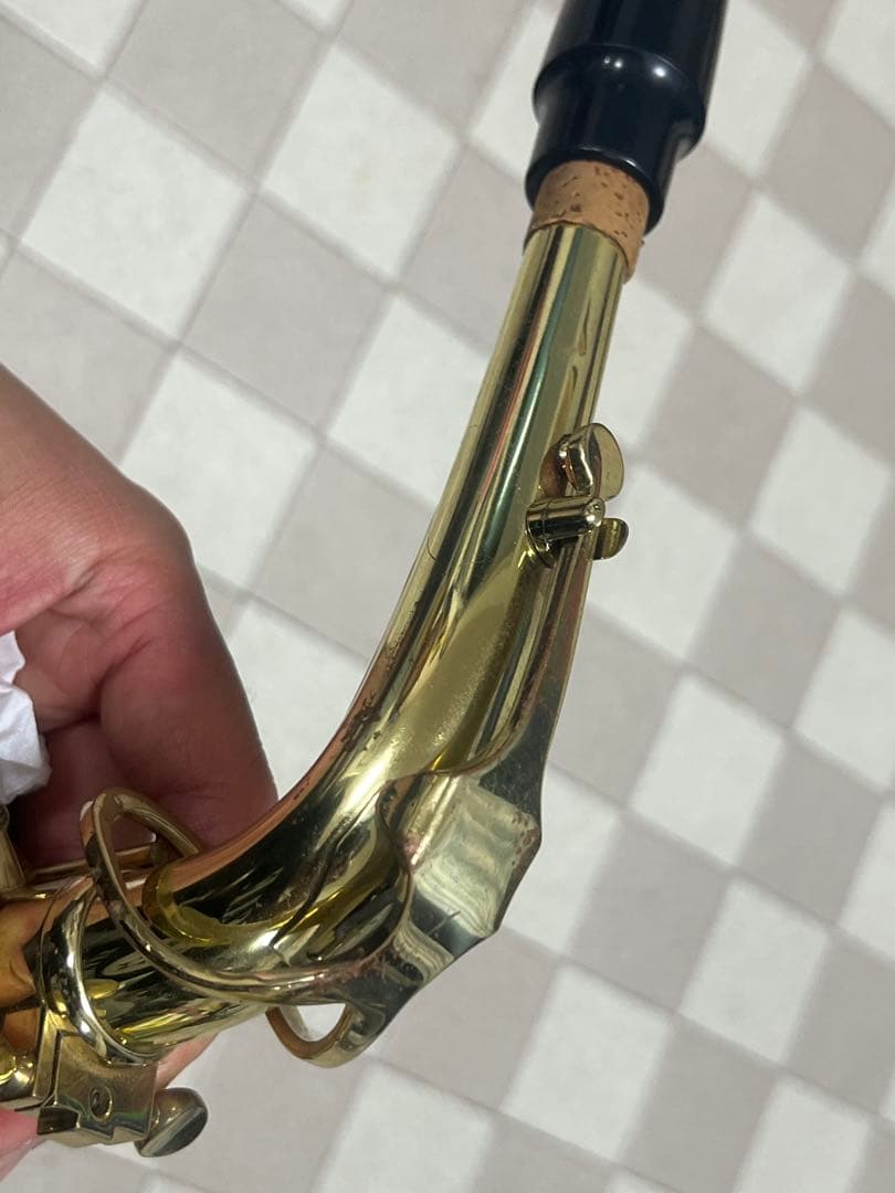 Kaerntner ケルントナー アルトサックス KAL-62