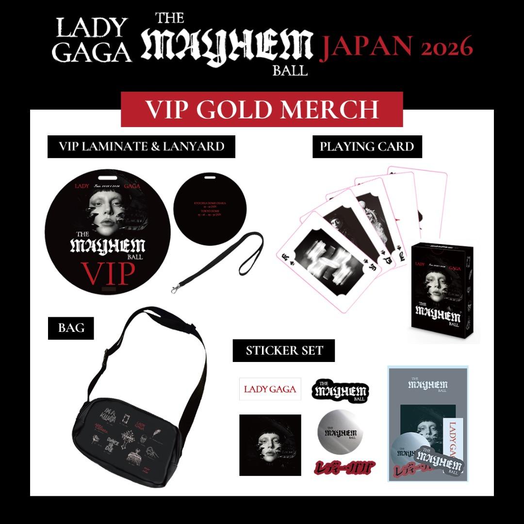 LADY GAGA VIP GOLD グッズ フルセット ゴールド