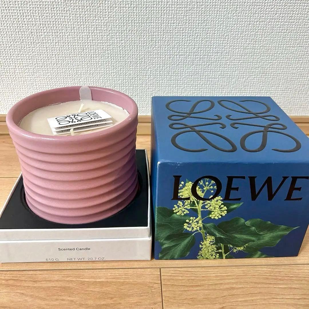 LOEWE アイビーキャンドル ミディアム ピンク 610g
