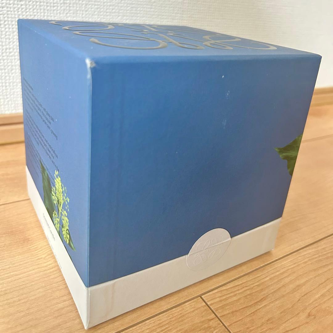 LOEWE アイビーキャンドル ミディアム ピンク 610g