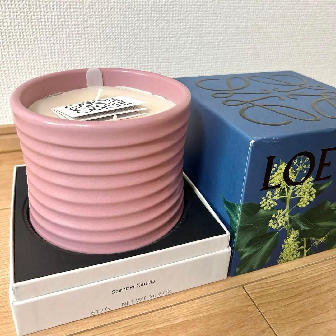 LOEWE アイビーキャンドル ミディアム ピンク 610g