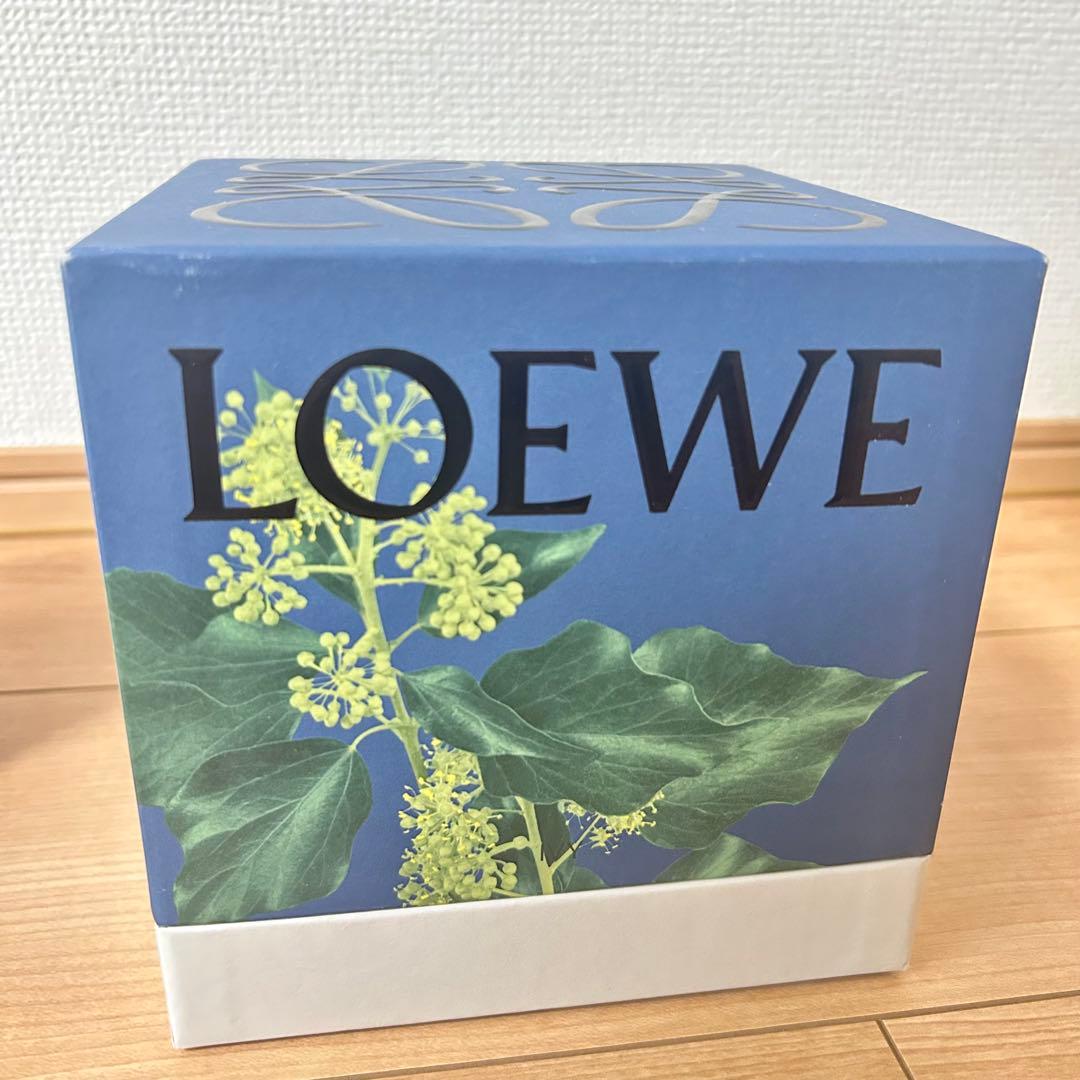 LOEWE アイビーキャンドル ミディアム ピンク 610g