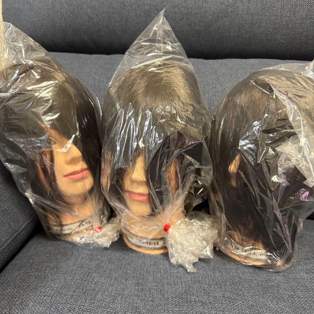 カットウィッグ 24-12-13 3点セット 国家試験用