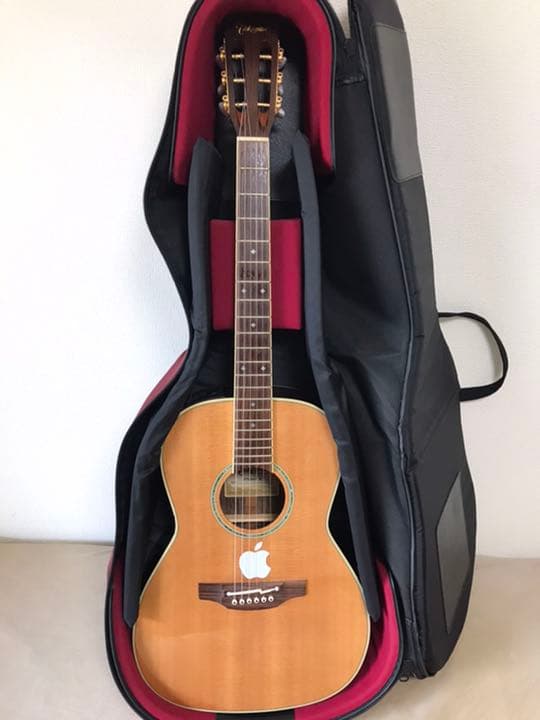 Takamine エレアコ　PTU441N ピースマンさん専用